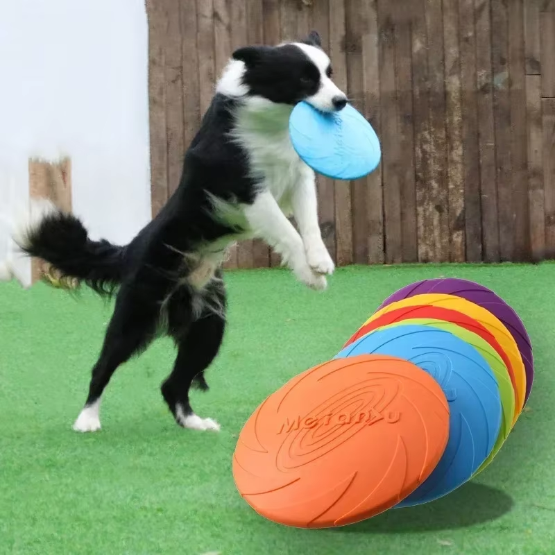 Hunde Frisbee - Spiel, Spaß und Training für deine Fellpfote