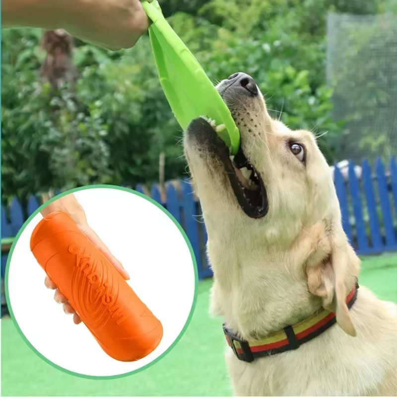 Hunde Frisbee - Spiel, Spaß und Training für deine Fellpfote