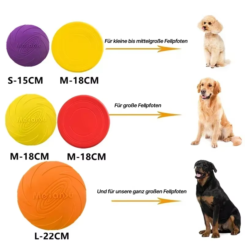 Hunde Frisbee - Spiel, Spaß und Training für deine Fellpfote