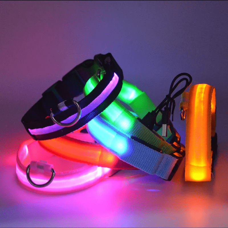 LED Hundehalsband mit hoher Leuchtkraft - robust und wiederaufladbar