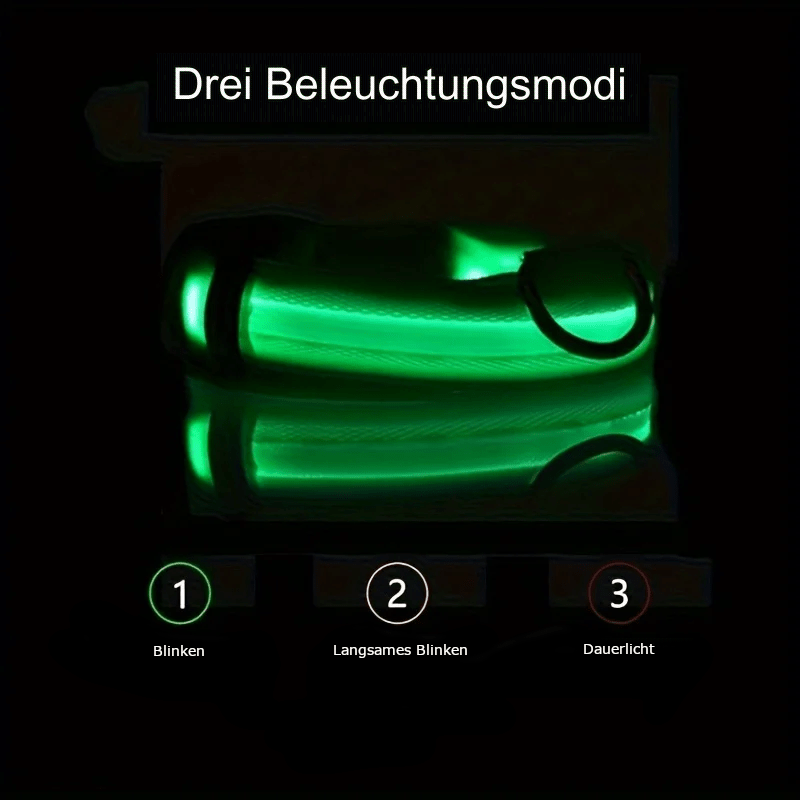 LED Hundehalsband mit hoher Leuchtkraft - robust und wiederaufladbar