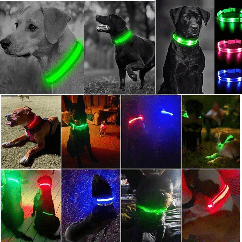 LED Hundehalsband mit hoher Leuchtkraft - robust und wiederaufladbar