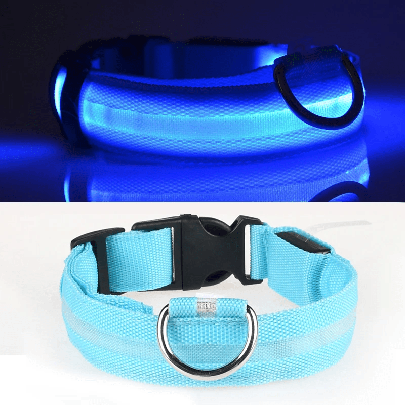 LED Hundehalsband mit hoher Leuchtkraft - robust und wiederaufladbar