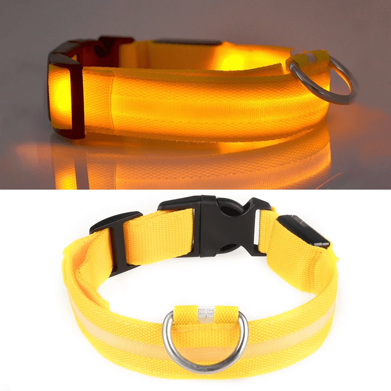 LED Hundehalsband mit hoher Leuchtkraft - robust und wiederaufladbar
