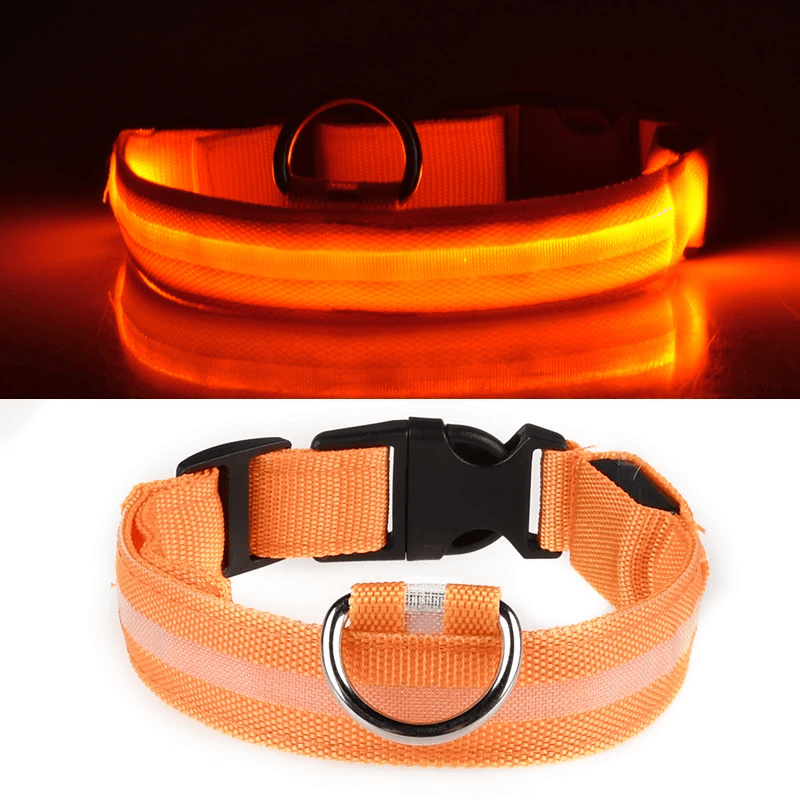 LED Hundehalsband mit hoher Leuchtkraft - robust und wiederaufladbar