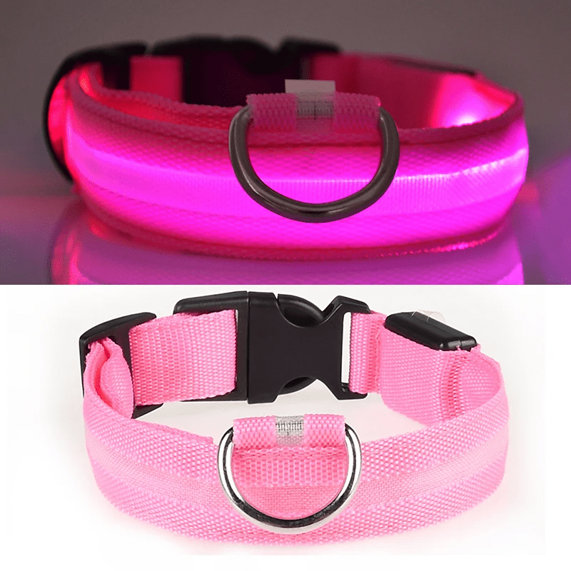 LED Hundehalsband mit hoher Leuchtkraft - robust und wiederaufladbar