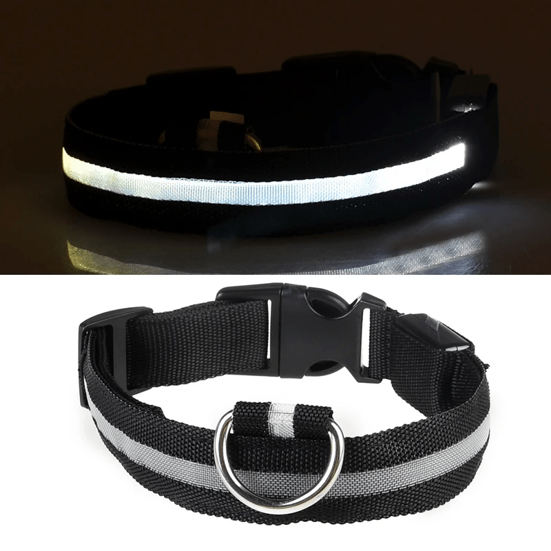 LED Hundehalsband mit hoher Leuchtkraft - robust und wiederaufladbar