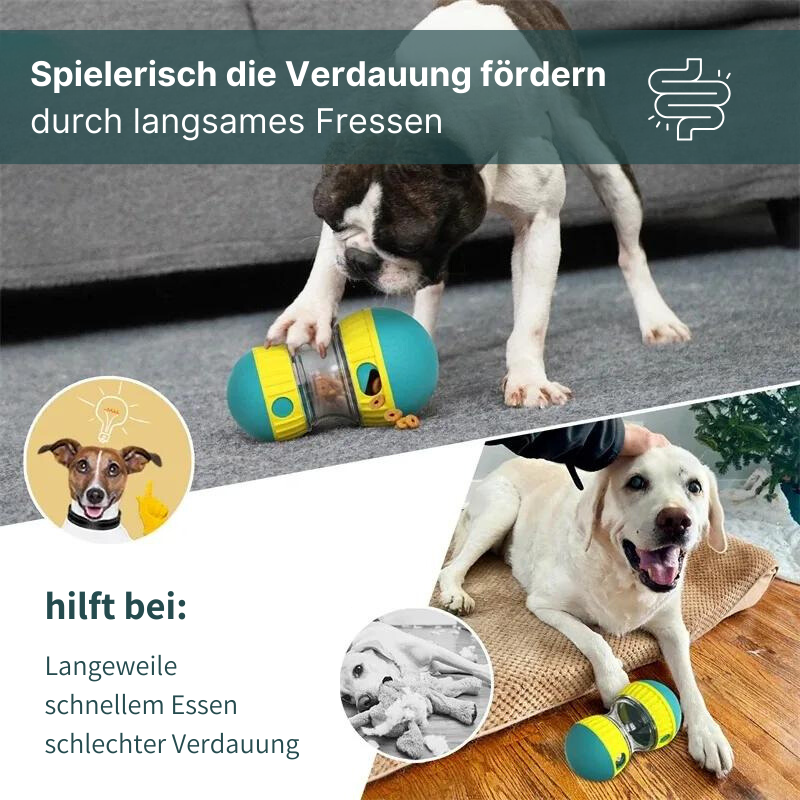 Intelligenzförderndes Futterspielzeug für Hunde - spielerisch gesund essen