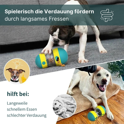 Intelligenzförderndes Futterspielzeug für Hunde - spielerisch gesund essen