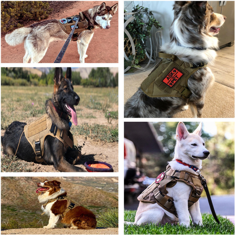 Robustes K9 Hundegeschirr mit Haltegriff - perfekte Kontrolle unterwegs