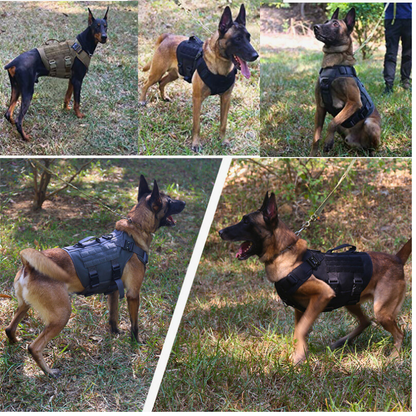 Robustes K9 Hundegeschirr mit Haltegriff - perfekte Kontrolle unterwegs
