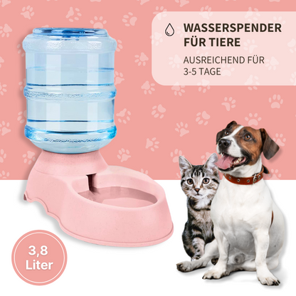 Automatischer Futter- und Wasserspender für Tiere - rund um die Uhr perfekt versorgt