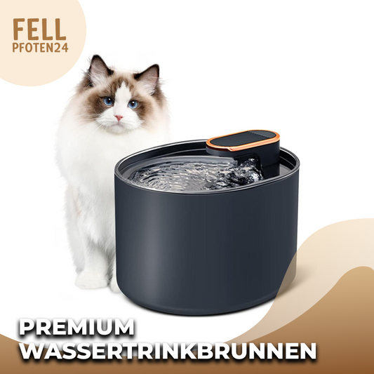 Elektronischer Wassertrinkbrunnen - mit energiesparendem Bewegungssensor und moderner LED Beleuchtung